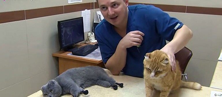 Rosyjski lekarz weterynarii Siergiej Gorszkow i uratowana przez niego kotka Dimka po lewej stronie