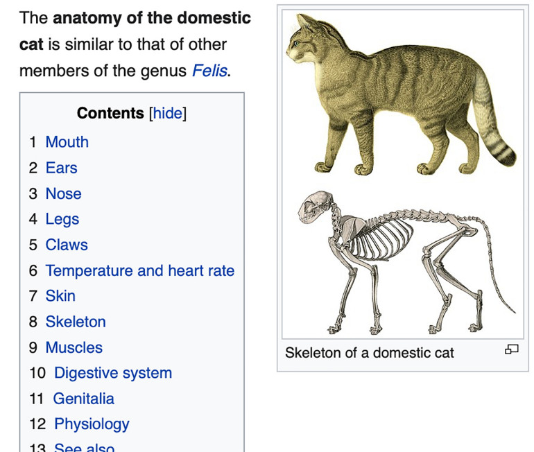 Rysunek 1. Informacje o anatomii kota domowego