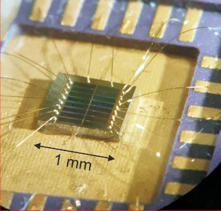 Sensor ChipSense