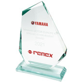 Nagroda za szczególne osiągnięcia dla Grupy RENEX