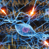Jak monitorować fale mózgowe. Wprowadzenie do elektroencefalografii (EEG)