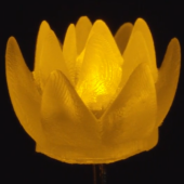Ręcznie robiona, świecąca na żółto dioda LED «Yellow Succulent» firmy Unexpected Labs