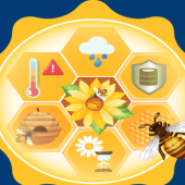 Portal element14 organizuje konkurs projektowy «Save The Bees Design Challenge»
