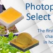 Dedykowana ogrodnictwu wersja Photophyll diod LED serii: XLamp XP i J Series 2835 firmy Cree LED