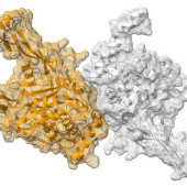 Innowacyjne rozwiązanie firmy Qubit Pharmaceuticals służące do poszukiwania nowych leków