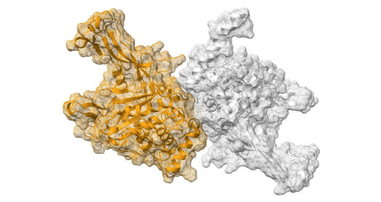 Przykładowe modele cząsteczek stanowiących nowe leki