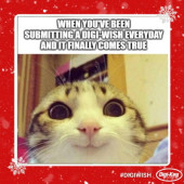 14. edycja świątecznej promocji DigiWish Giveaway, jak również bożonarodzeniowy przewodnik po prezentach Digi-Key Electronics