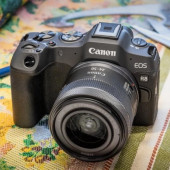 EOS R8: najlżejszy, pełnoklatkowy aparat systemu EOS R od firmy Canon