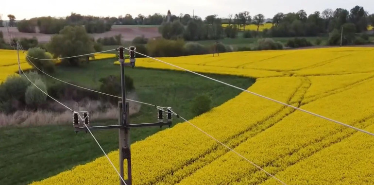 Realizacja pilotażu wykorzystania sztucznej inteligencji