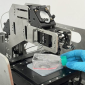 Naukowcy Politechniki Warszawskiej (PW) chcą wesprzeć leczenie nowotworów