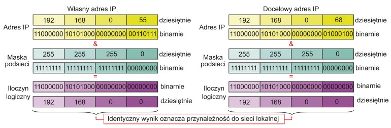 Rysunek 10.