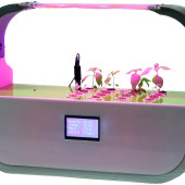 Wyhoduj to sam. Sterowane cyfrowo, jednopojemnikowe rozwiązanie do upraw w pomieszczeniach