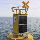 Sztuczna inteligencja (AI) od HUAWEI wspiera badania gatunków morskich w Irlandii