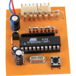 Sterownik choinkowych węży świetlnych