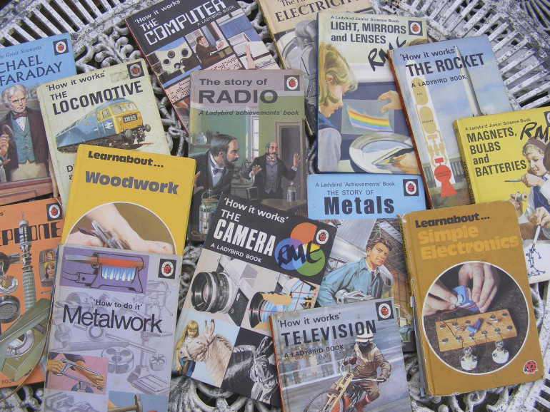 Rysunek 1. Mała próbka słynnych książek z serii „Biedronka”