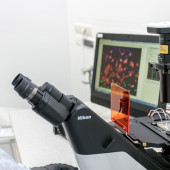 «Aerosol-jet-printed potentiometric pH sensor for sweat measurements in smart patches» - przełomowa w dziedzinie elektroniki publikacja naukowa CEZAMAT