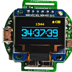 Zegarek naręczny (2)