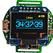 Zegarek naręczny (2)