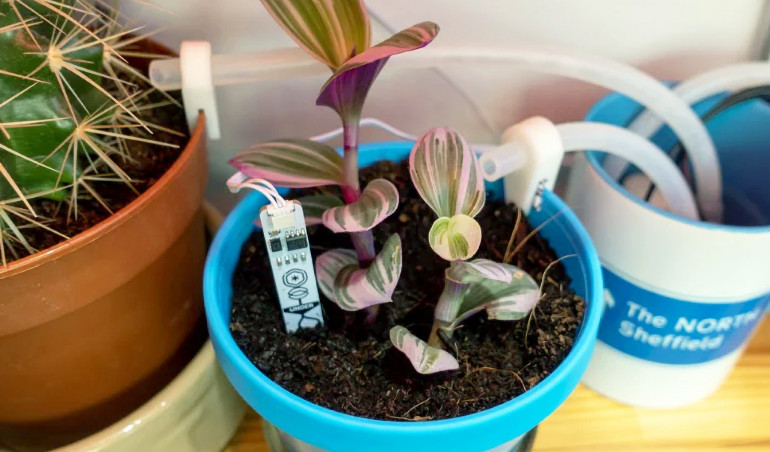 Internet Rzeczy w pomiarach środowiskowych (6). Zestaw do kontrolowania wilgotności gleby Enviro Grow firmy Pimoroni