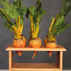 BeetBox - perkusja z Raspberry Pi i buraków