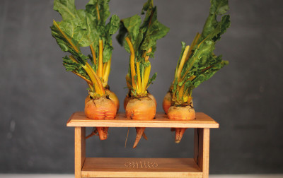 BeetBox - perkusja z Raspberry Pi i buraków