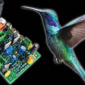 Wzmacniacz audio Hummingbird