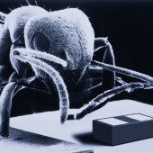 Elektroniczne komponenty zabezpieczające - podzespoły, aplikacje i normy