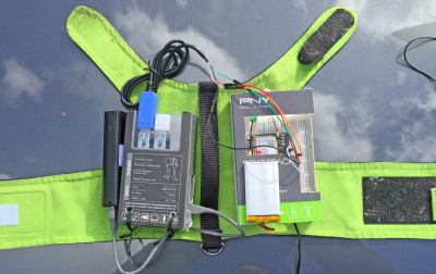 Kot z dostępem do Internetu