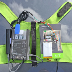 Kot z dostępem do Internetu