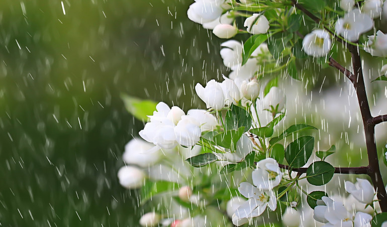 Kwiecień plecień, bo przeplata...