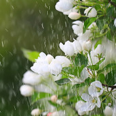 Kwiecień plecień, bo przeplata...