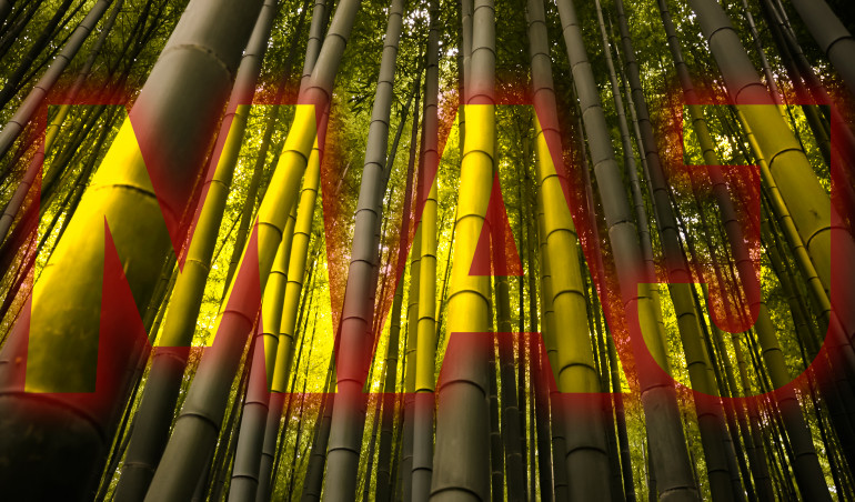 W maju jak w gaju? U nas także, a jakże!