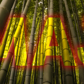 W maju jak w gaju? U nas także, a jakże!