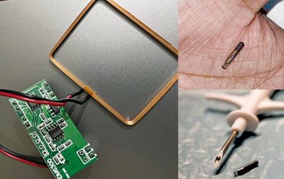 Wszczepialne chipy do identyfikacji i śledzenia zwierząt, część 1