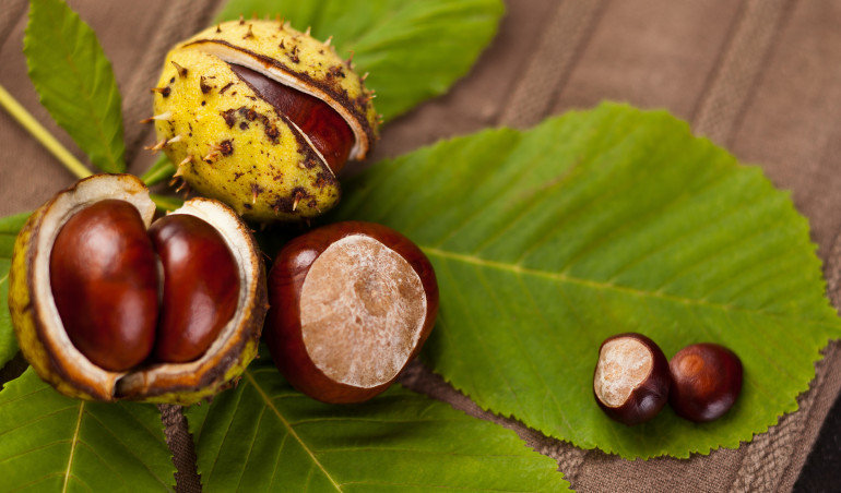 Październikowe eksperymenty - od mocy kilowata po szept liści