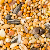 Komórkowy Internet Rzeczy (IoT) oraz Bluetooth LE wspierają zrównoważone rolnictwo