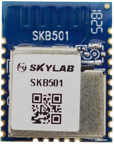 Fotografia 5. Moduł BLE z serii SKB501-CSPI marki SKYLAB