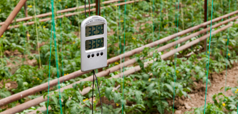 Kwiecień – z elektroniką w ogrodzie