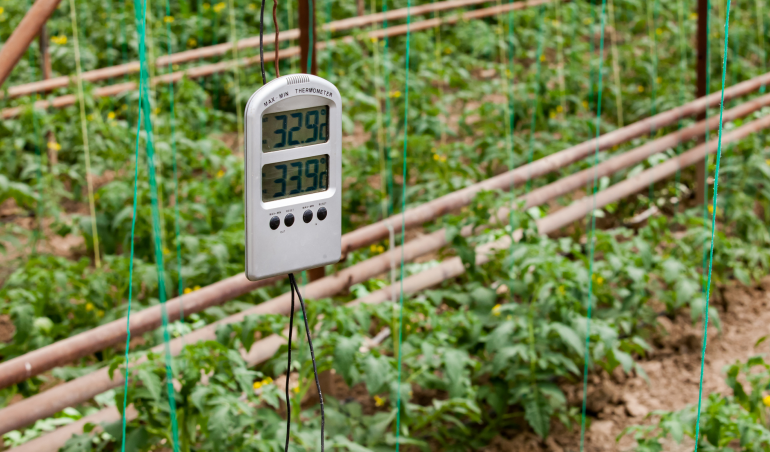 Kwiecień – z elektroniką w ogrodzie