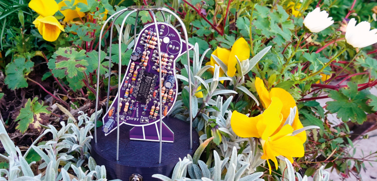 Śpiewający ptaszek