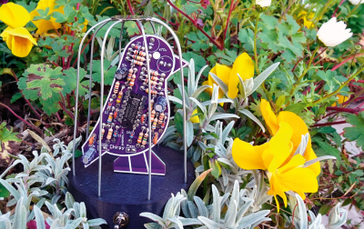 Śpiewający ptaszek