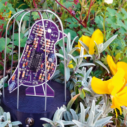 Śpiewający ptaszek