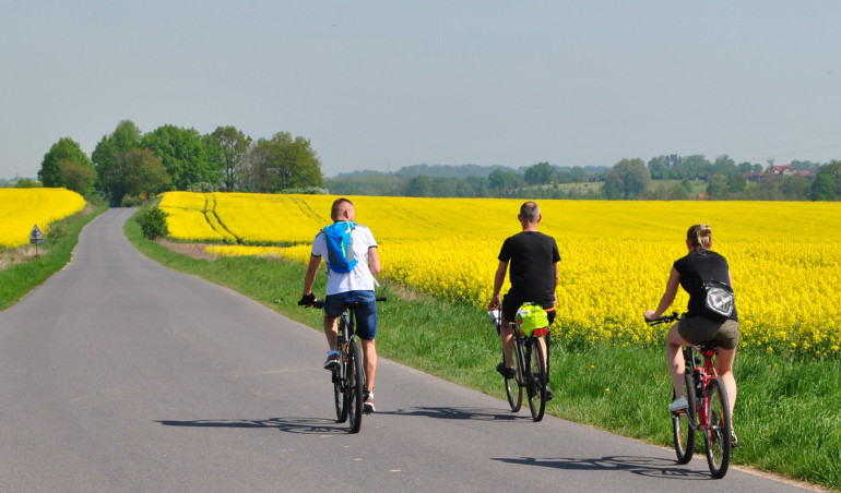 Maj – od Saskiej Kępy do targowych hal