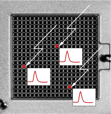 Rysunek 4. Widok fotodetektora typu SiPM [2]