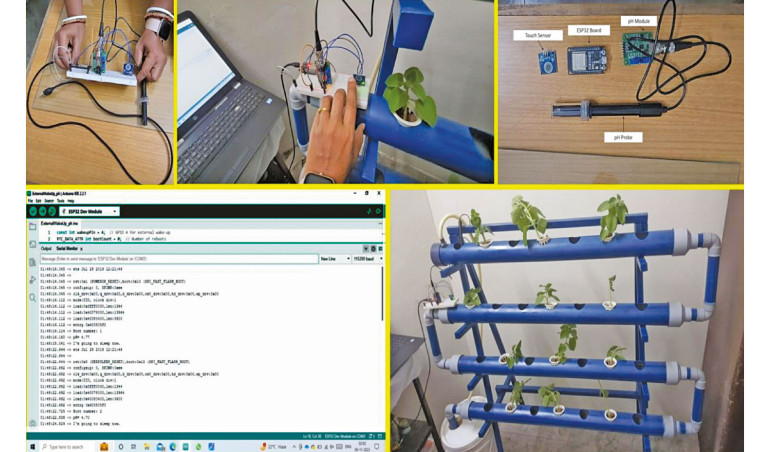 Pomiar pH w systemie hydroponicznym